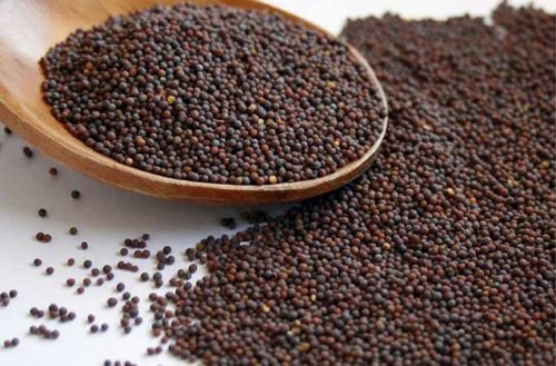 mustard-seed-