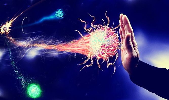 what is the difference between immunity and immune system