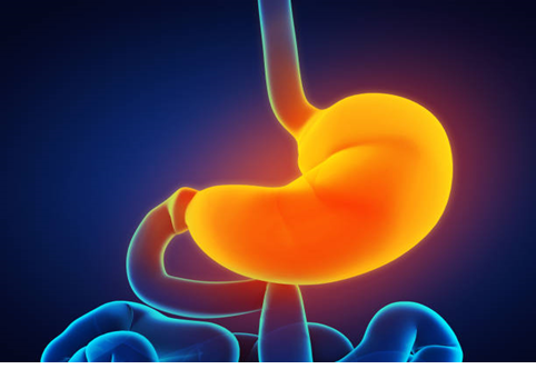 What Is The Role Of Acid In Our Stomach? - Cacherbal | Ayurvedic Treatment